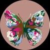 jcbutterfly